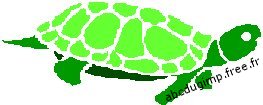 tortue (image Bitmap)