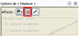 options de l'outil déplacer