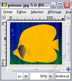 Image poisson.jpg